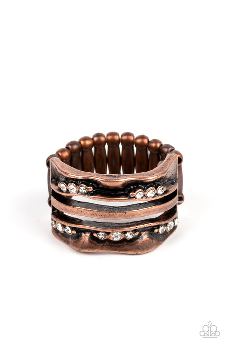 Unexpected Treasure -Copper